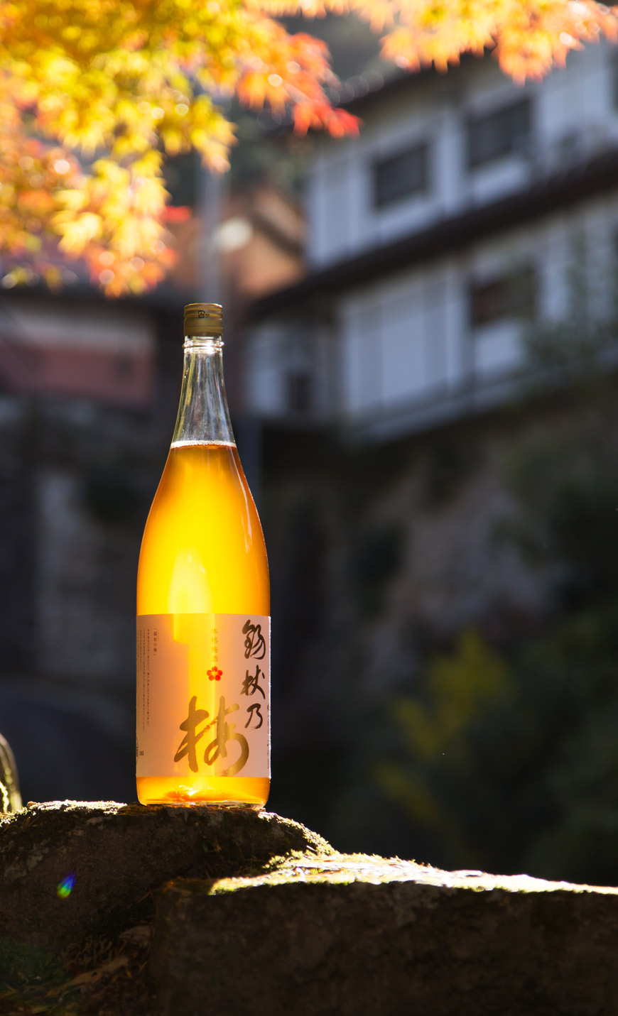 Shakujo no umeshu label design