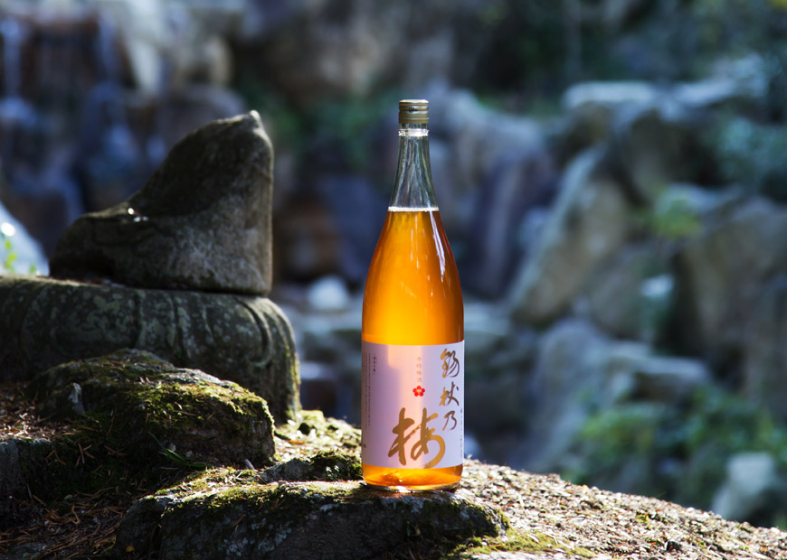 en]Umeshu: the liqueur made from sake and Japanese plums[:] • MT Magazine